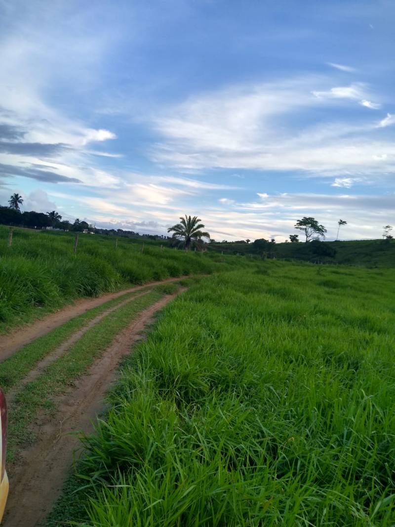 Fazenda em Eunápolis. A 95 km