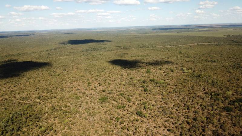 Fazenda em Unai Minas Gerais 5000 hectares