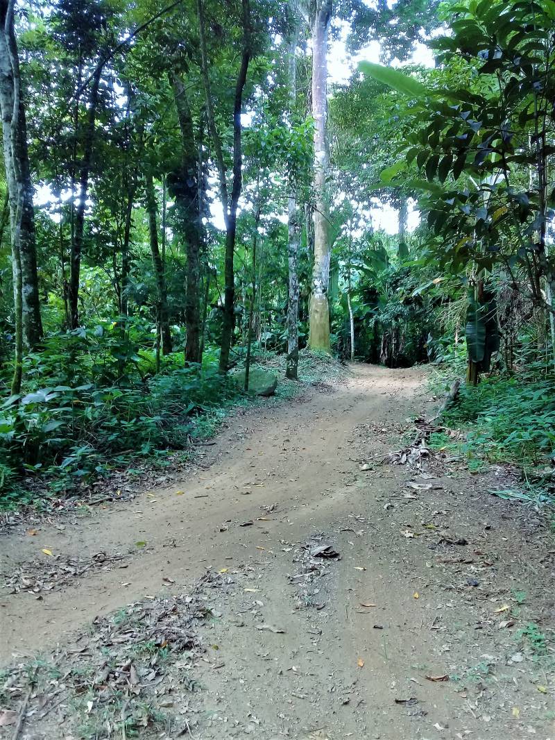 Terreno de 25000m2 com cachoeira perto centro de Paraty escriturado
