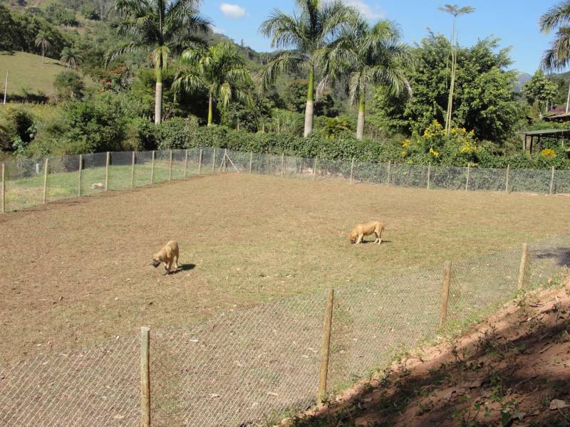 SEC 420 - Excelente propriedade com estrutura antiga de fazenda em Secretário.