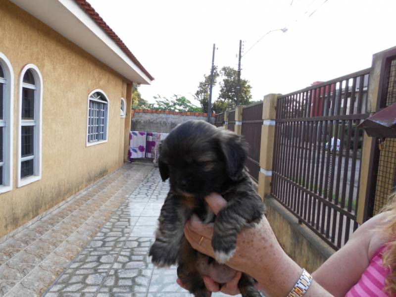 Alugo ou vendo casa no centro em  Arapongas- PR
