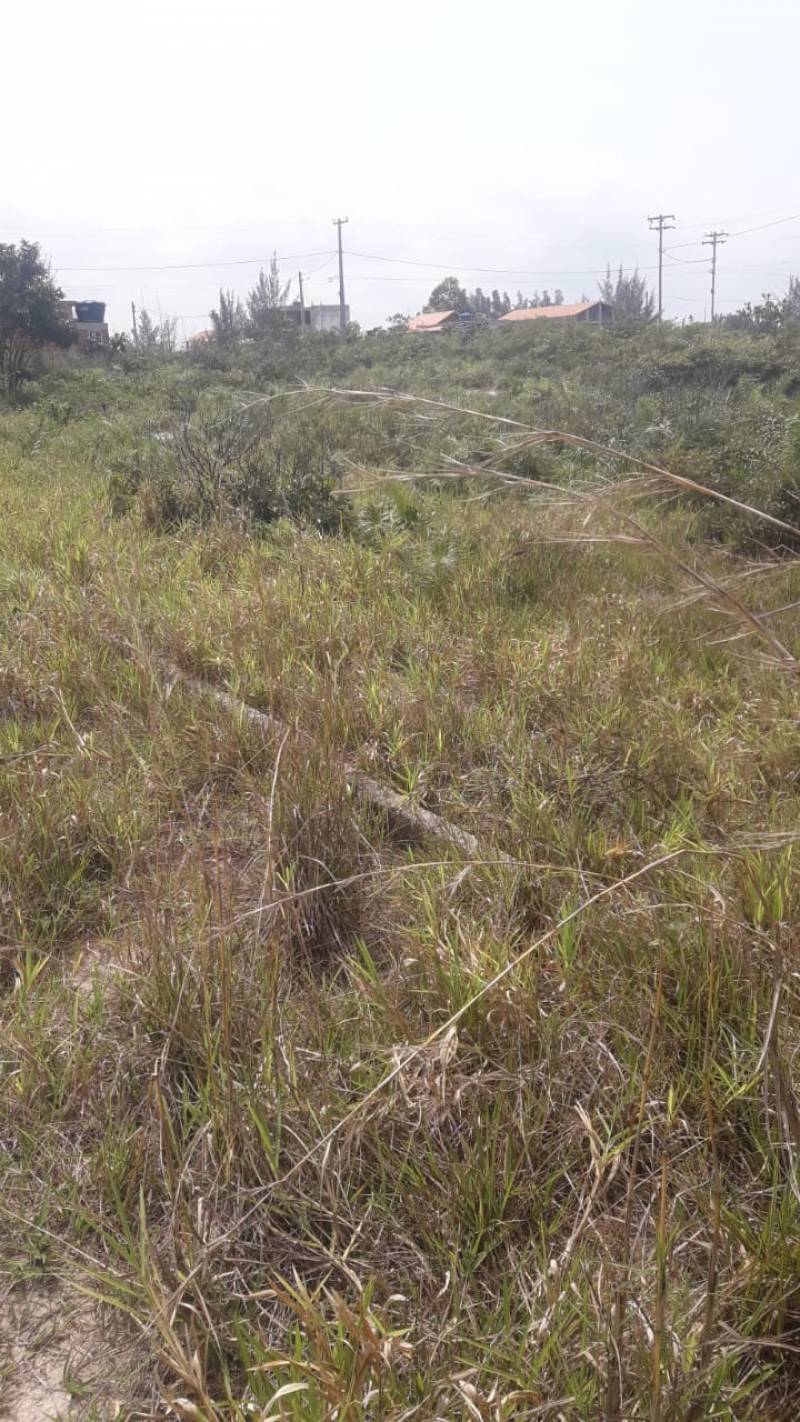 Araruama (terreno)