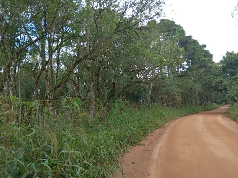 Chácara em Mandirituba