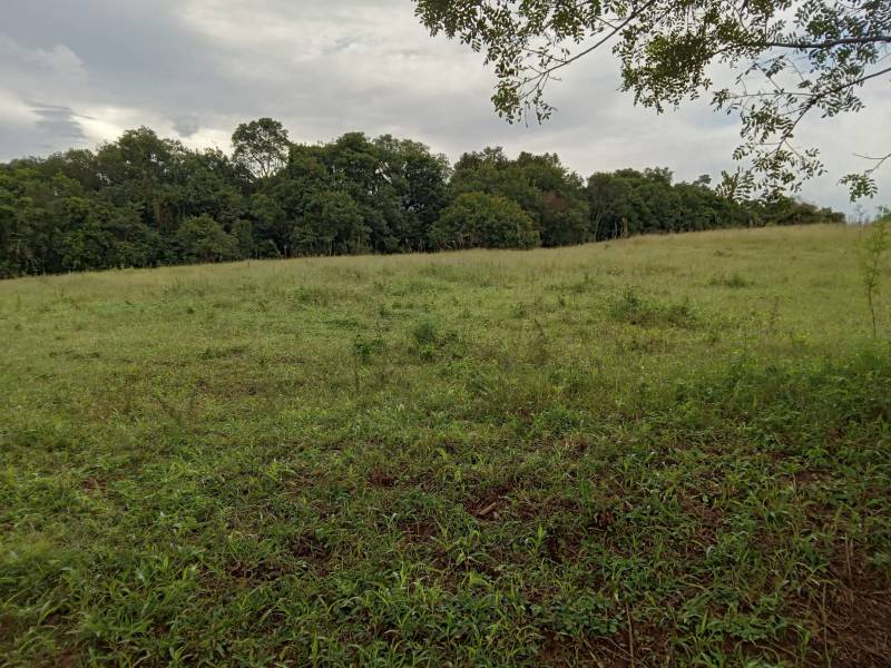 Chácara em Araucária