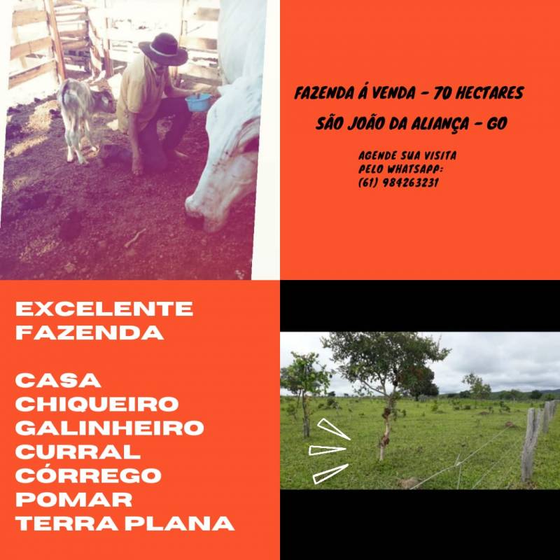 Fazenda Á Venda 