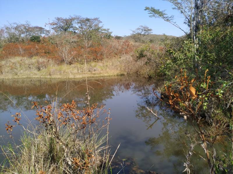 VENDO ÁREA 10,6 HECTARES - RITAPOLIS