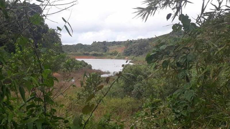 Excelente fazenda de café