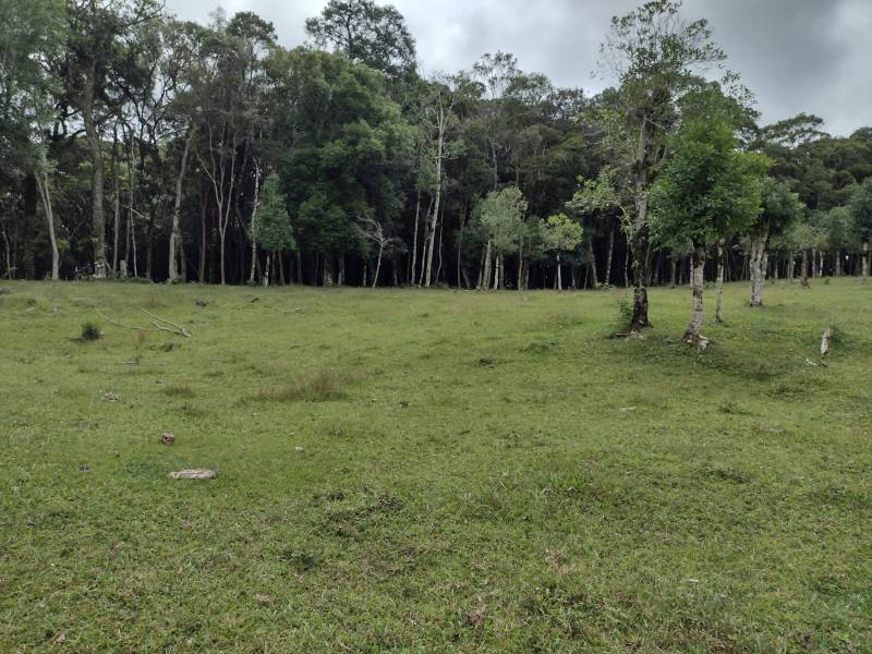 Terreno em Mandirituba, PR