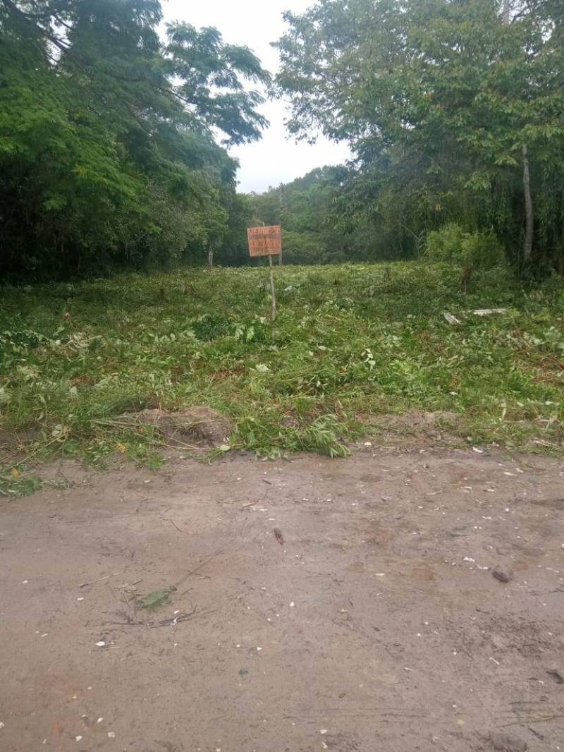 Terreno para Venda, Itanhaém / SP