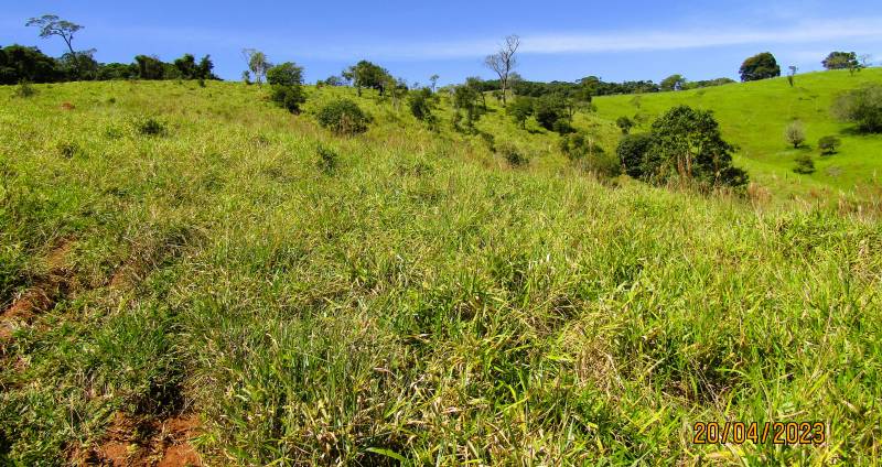 Sitio ao lado de São Lourenço MG