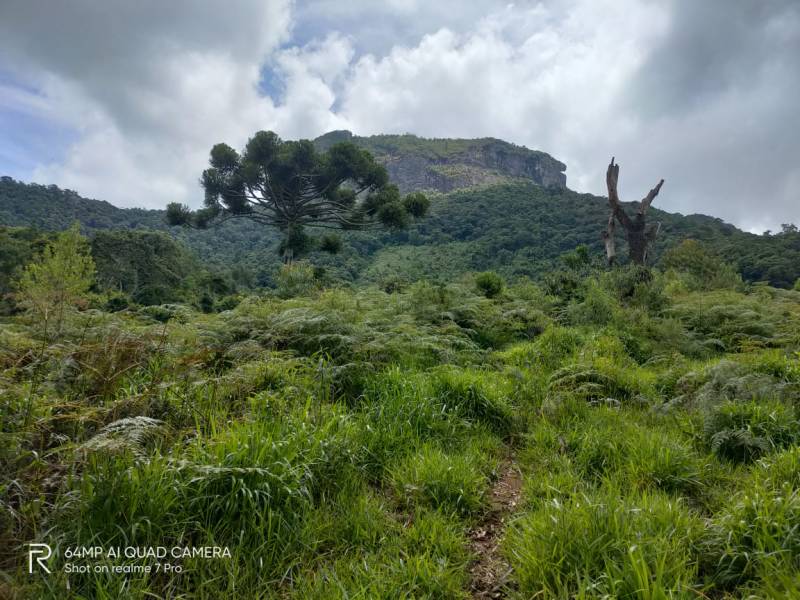 fazenda pedra do baú