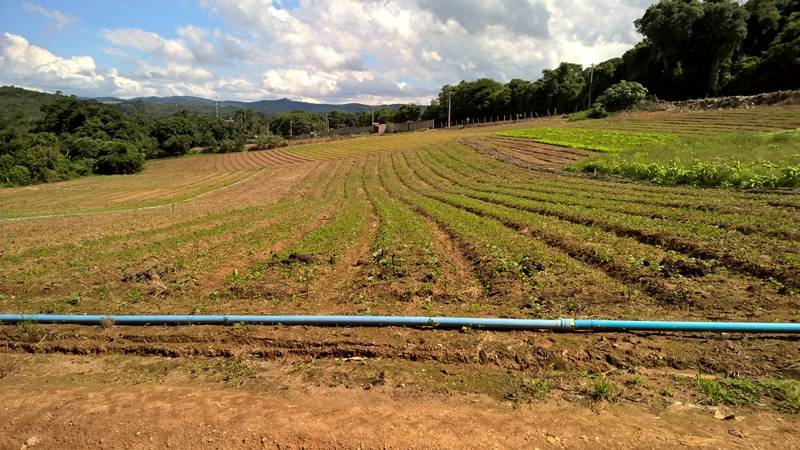Terreno à Venda em Ibiúna