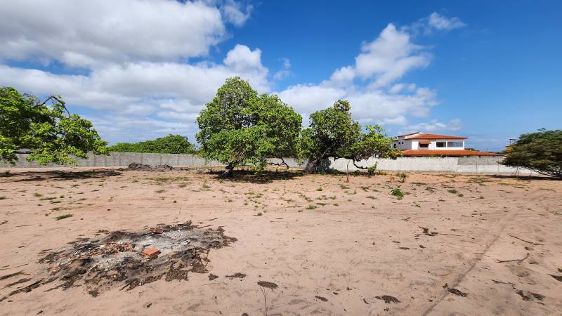Terreno