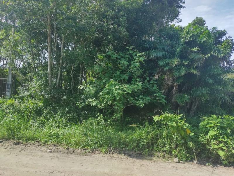 Terreno no Bairro do Bopiranga em Itanhaém