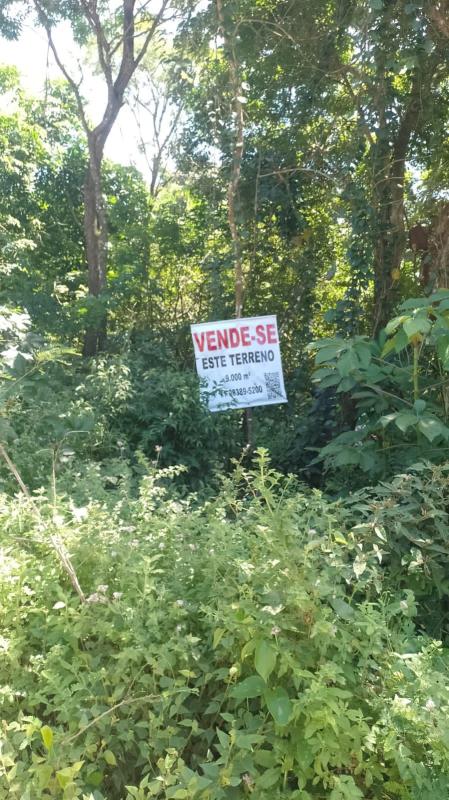 Terreno em Monte Gordo