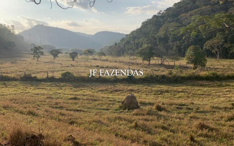 Fazenda em Juiz de Fora/MG – 224,0751 hectares