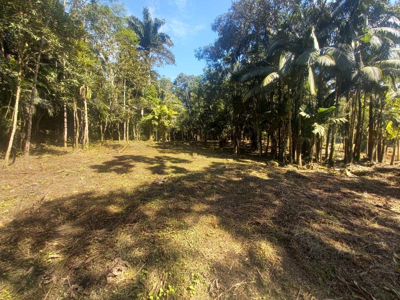 Vende-se terreno em morretes apartir de 80 mil