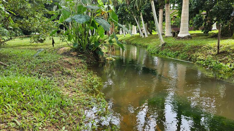 Vende-se linda chacara em morretes 