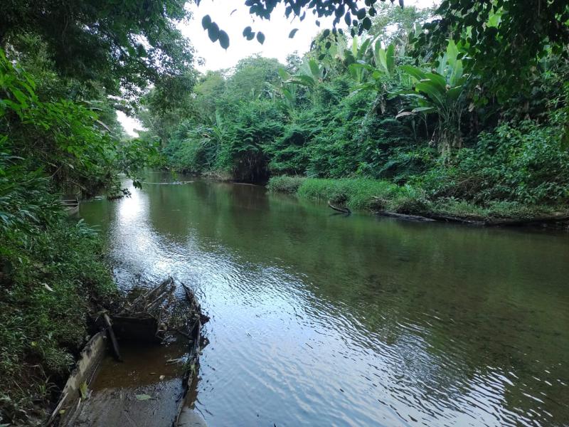 Vende-se linda chacara em morretes