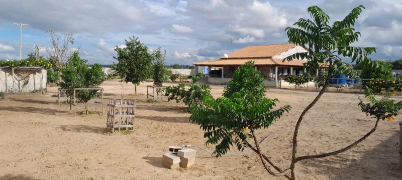 Sitio a venda em Morro do Chapéu/BA