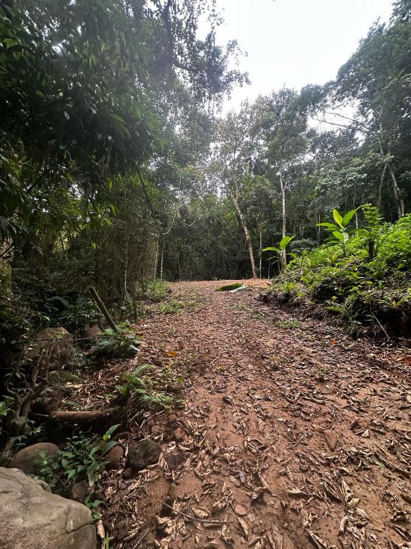 Terreno