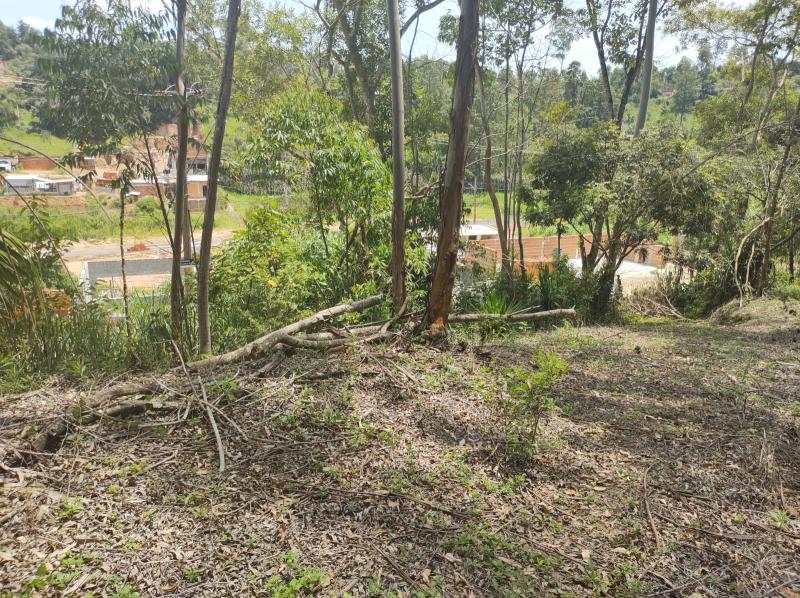 Vende-se chácara com 9532,2 m/2 na Vila Belmira