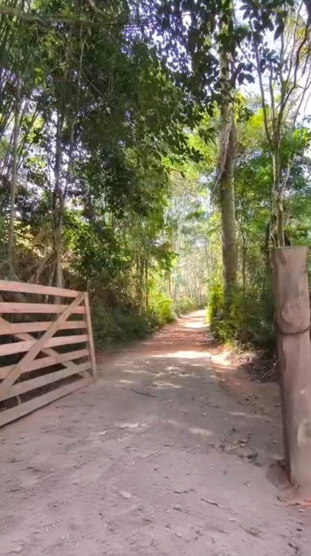🌿 SÍTIO COM 3 CASAS E COM NASCENTE DE ÁGUA À VENDA – FERVEDOURO/MG – DOCUMENTAÇÃO/IMPOSTOS EM DIA