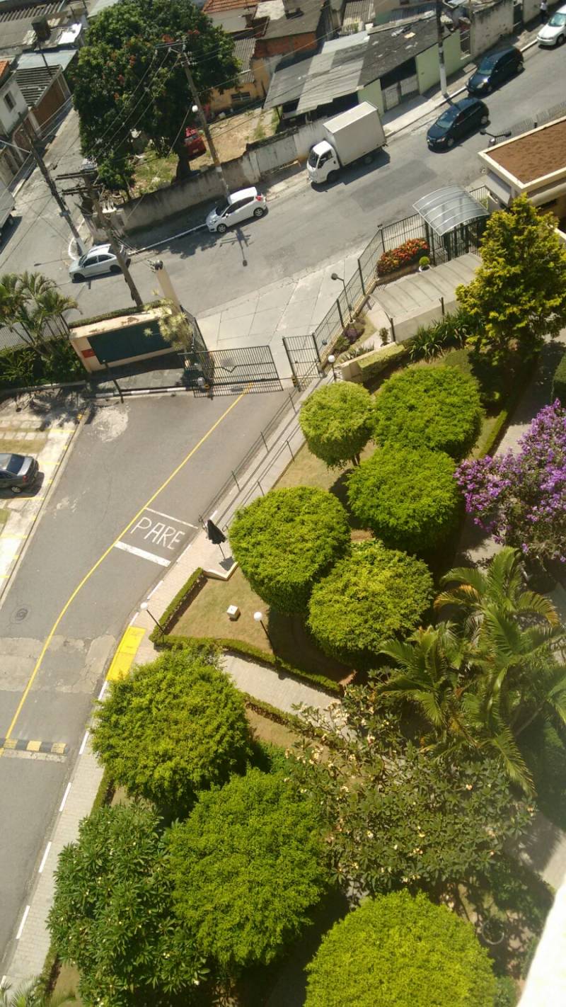 APARTAMENTO PIRTUBA - PQUE MARIA DOMITILA