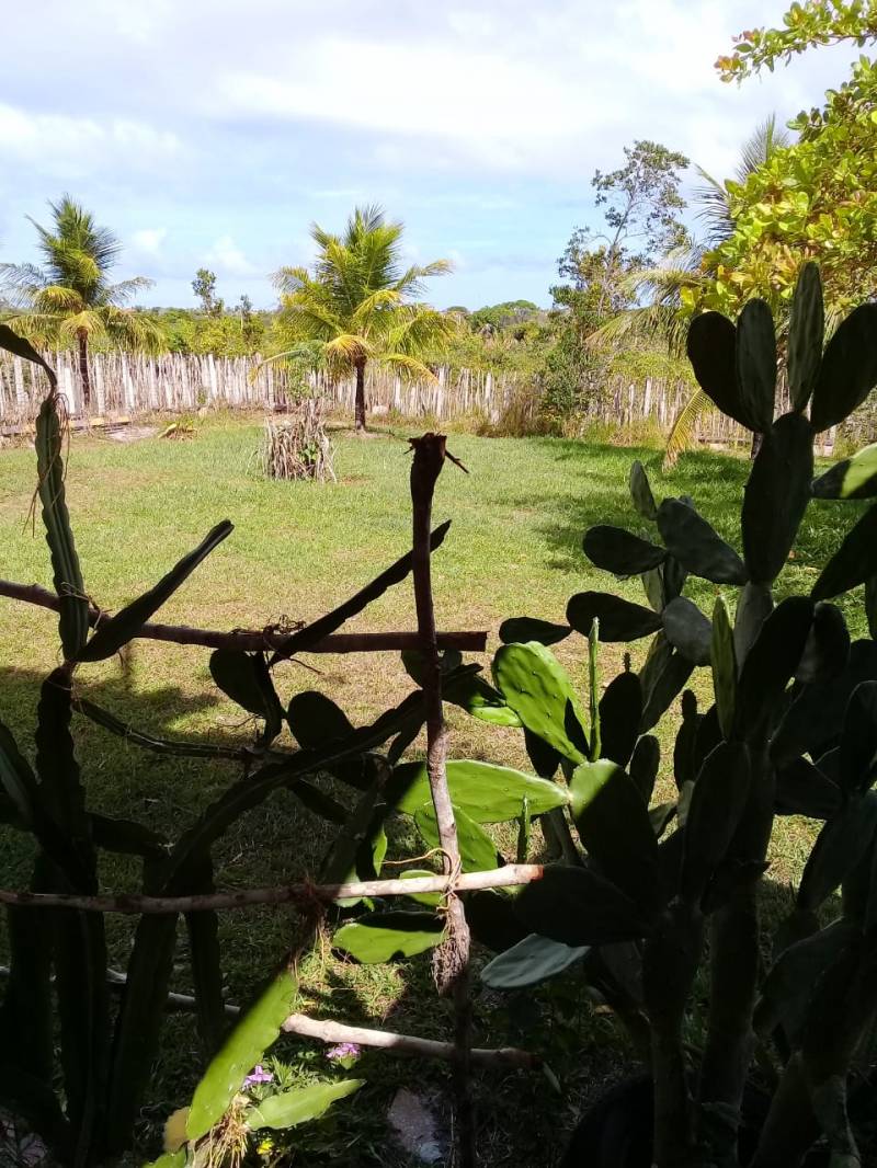 Terreno Estrada do Coco - em frente à Praia de Itacimirim/Bahia/Brasil