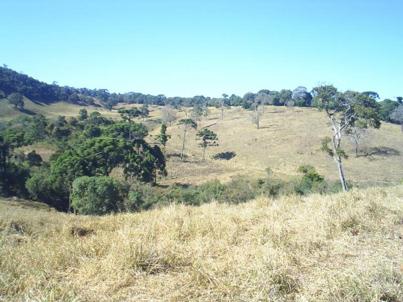 Sitio