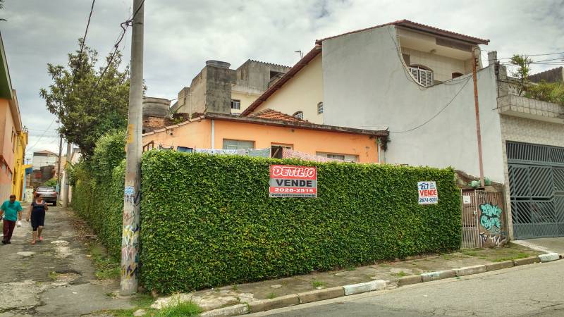 terreno