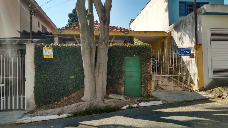 terreno vila ema