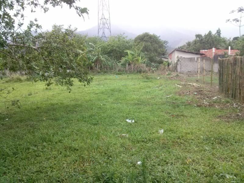 Terreno