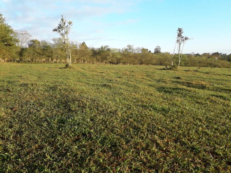 Terrenos com 1.200 m²