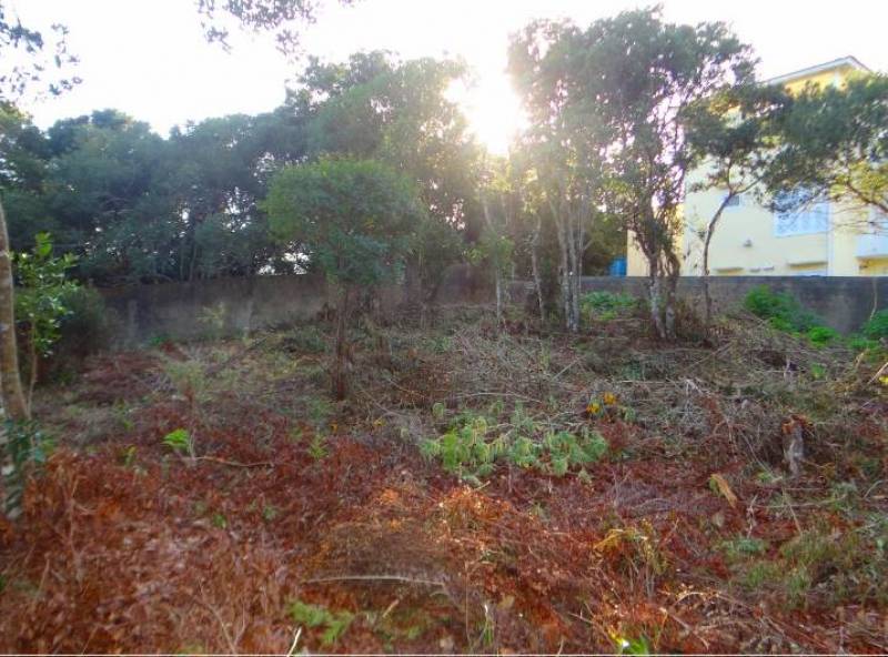 TERRENO DE 660 m² NA PRAIA DO SANTINHO - FLORIANÓPOLIS SC