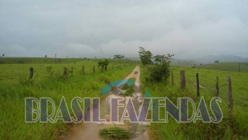 Fazenda em Itamaraju BA