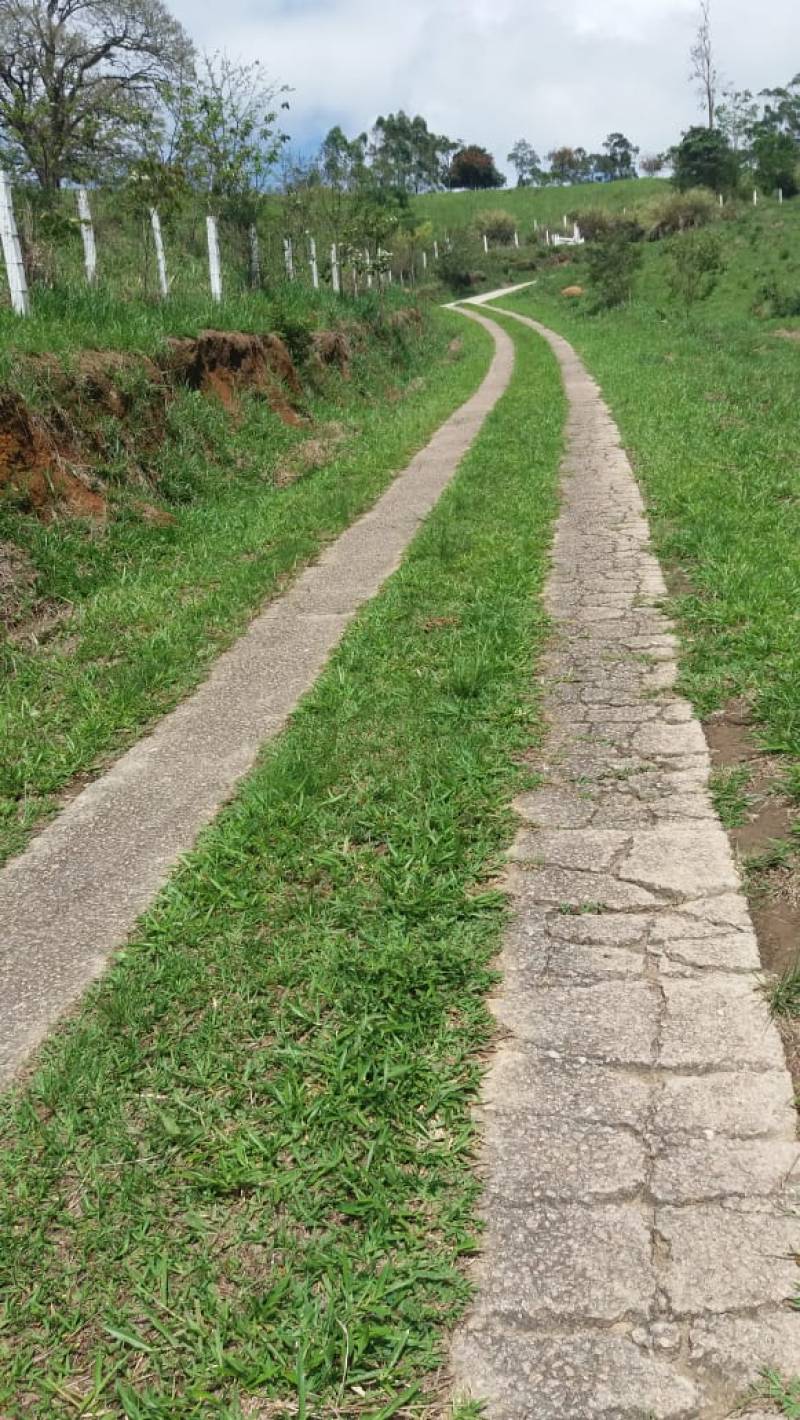 Recanto dos pássaros