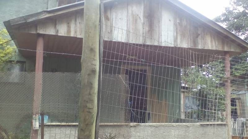 Casa no Bairro Serraria