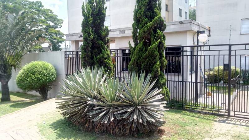 Ótima oportunidade