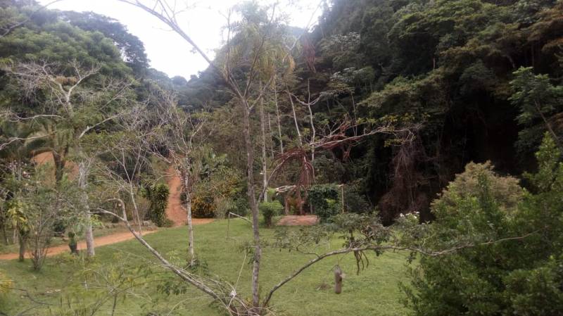 vendo sítio com cachoeira em santa teresa