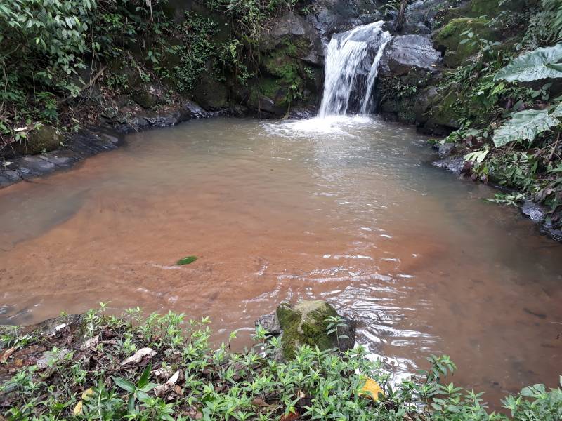 Sítio com cachoeira 