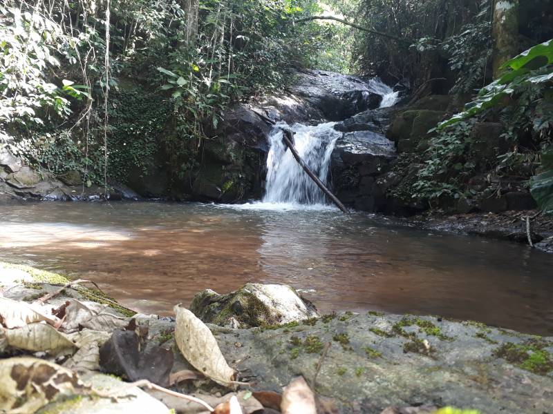 Sítio com cachoeira