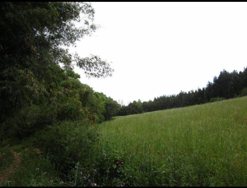 Área de Terras