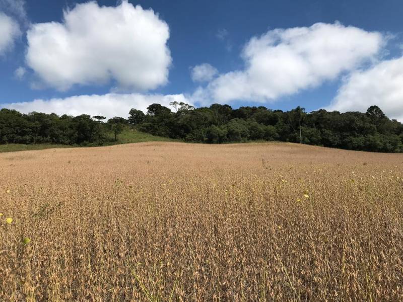 ótimo terreno com 60 alqueires
