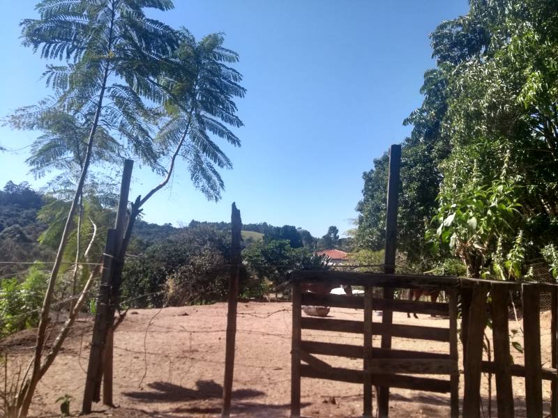 BOM PARA VIVER E MORAR
