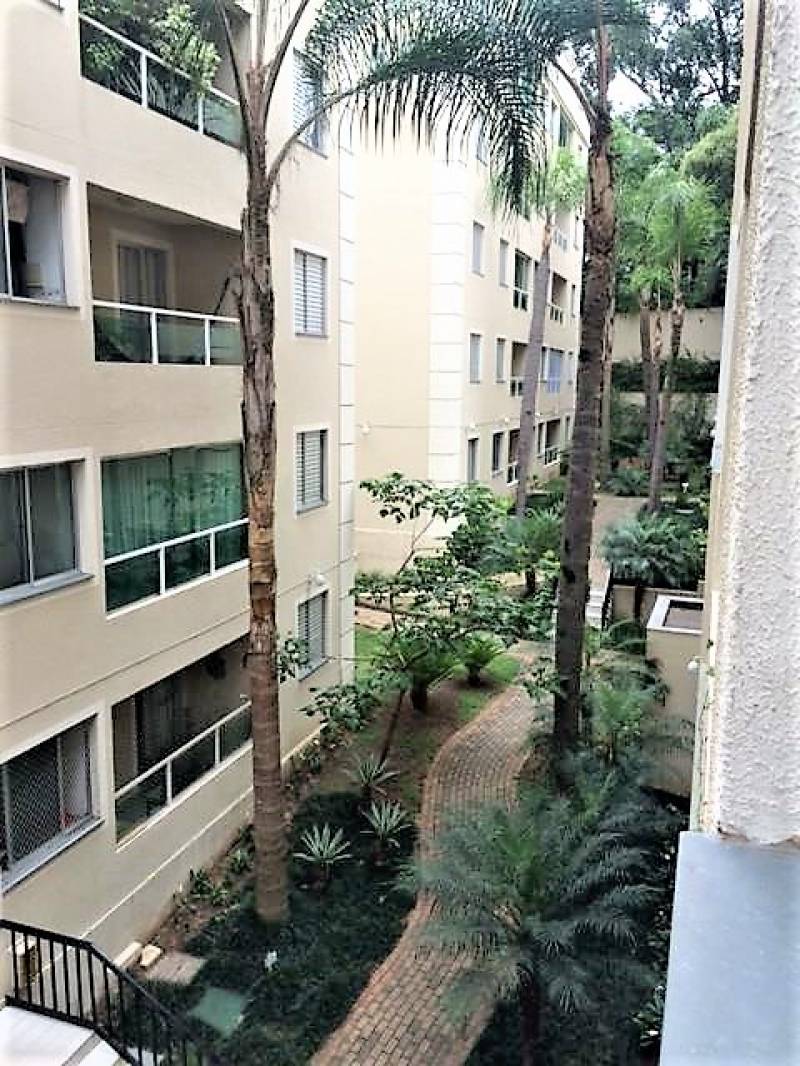 Apto 3 dorms região do Morumbi