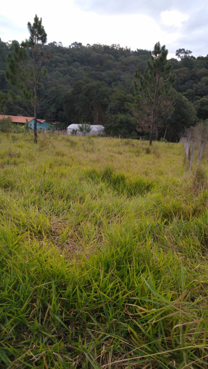 Morar ou lazer